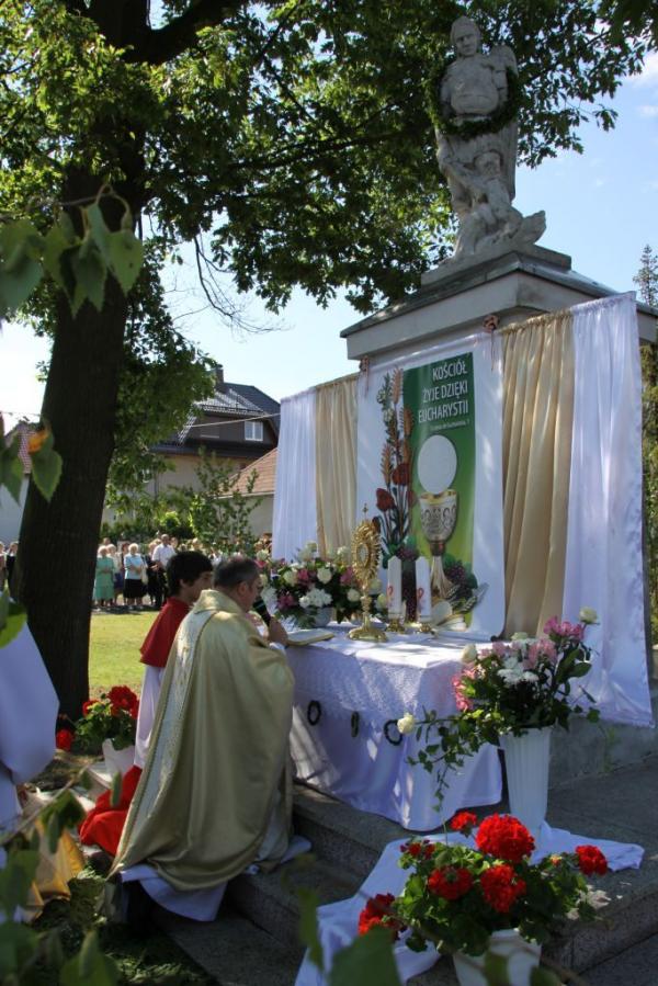 Kliknij aby zobaczyć pełny rozmiar