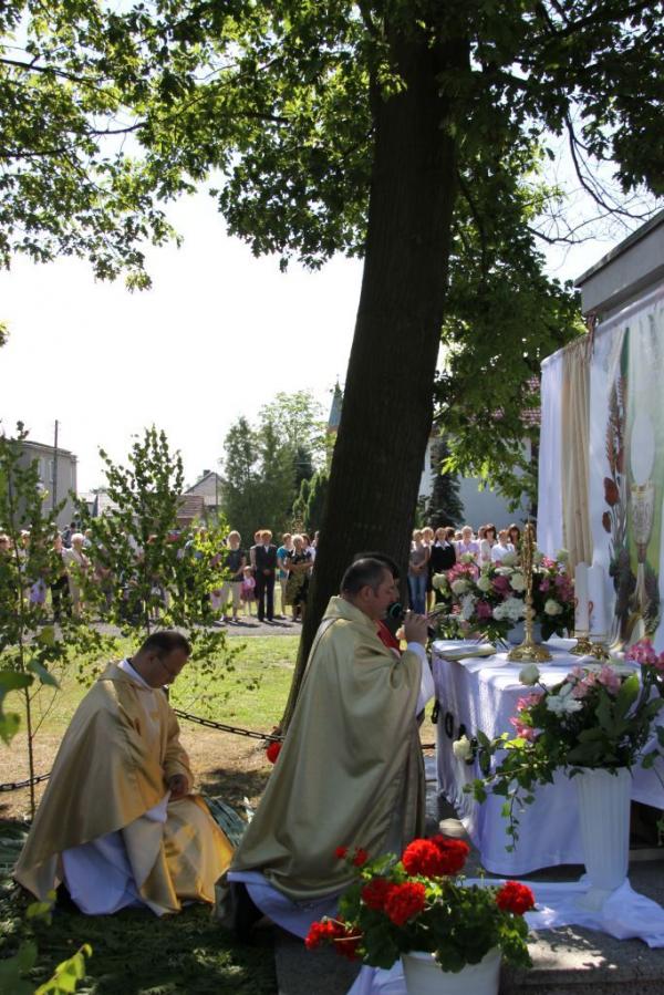 Kliknij aby zobaczyć pełny rozmiar