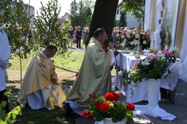 Kliknij aby zobaczyć pełny rozmiar