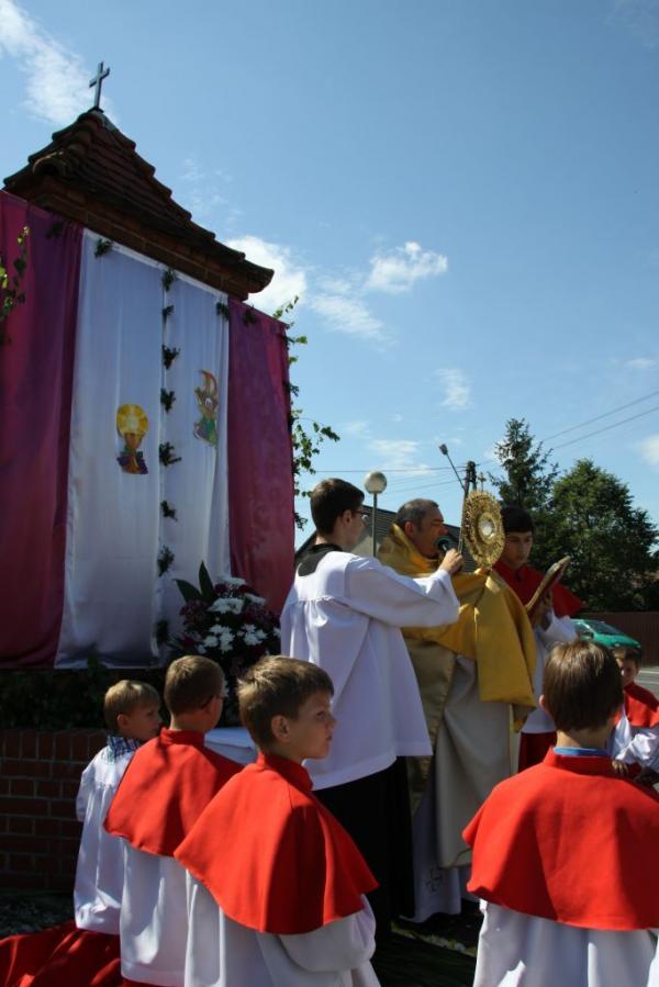 Kliknij aby zobaczyć pełny rozmiar