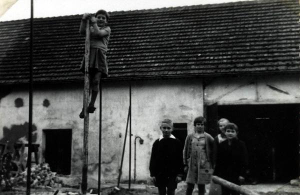 Kliknij aby zobaczyć pełny rozmiar