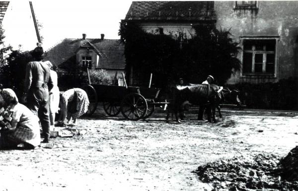 Kliknij aby zobaczyć pełny rozmiar