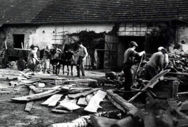 Kliknij aby zobaczyć pełny rozmiar