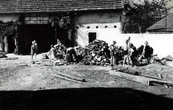 Kliknij aby zobaczyć pełny rozmiar