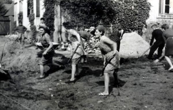 Kliknij aby zobaczyć pełny rozmiar