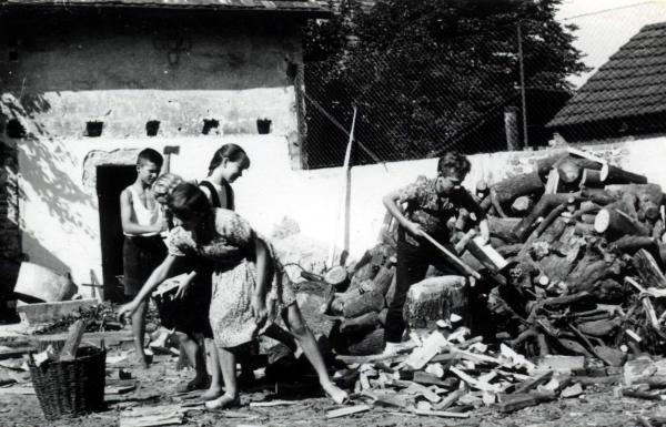 Kliknij aby zobaczyć pełny rozmiar