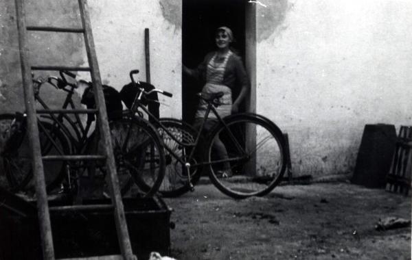 Kliknij aby zobaczyć pełny rozmiar