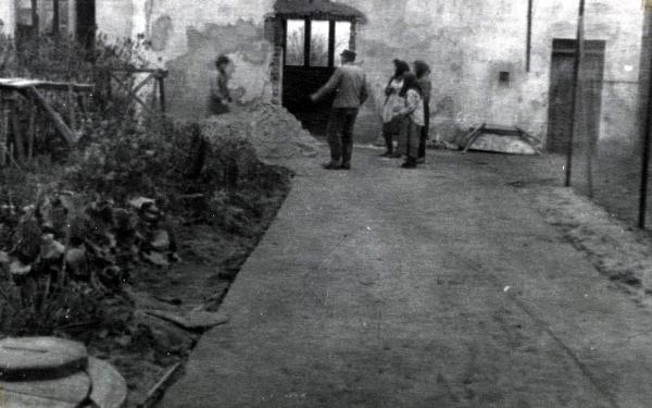 Kliknij aby zobaczyć pełny rozmiar