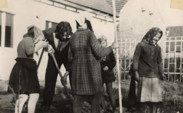 Kliknij aby zobaczyć pełny rozmiar