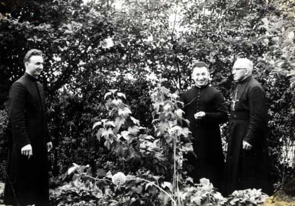 Kliknij aby zobaczyć pełny rozmiar
