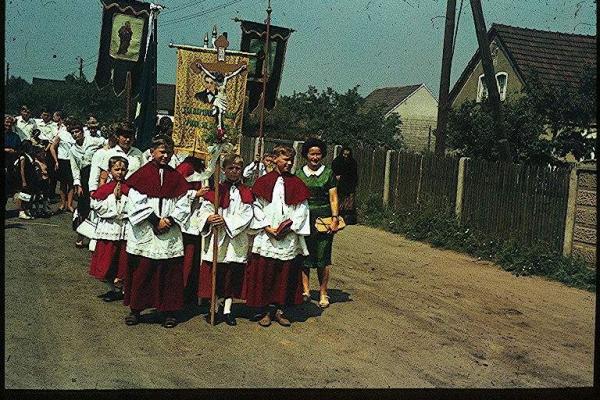 Kliknij aby zobaczyć pełny rozmiar