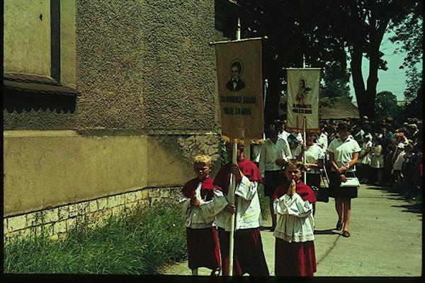 Kliknij aby zobaczyć pełny rozmiar