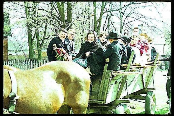 Kliknij aby zobaczyć pełny rozmiar