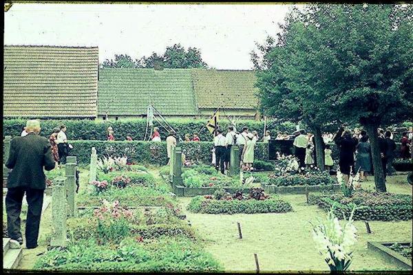 Kliknij aby zobaczyć pełny rozmiar
