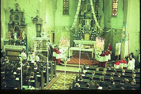 Kliknij aby zobaczyć pełny rozmiar