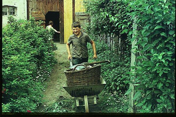 Kliknij aby zobaczyć pełny rozmiar